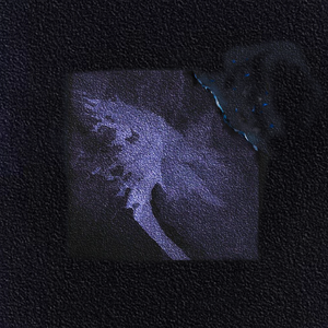 免费无遮挡🔞直播网站进口
