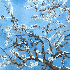 免费无遮挡🔞直播网站进口
